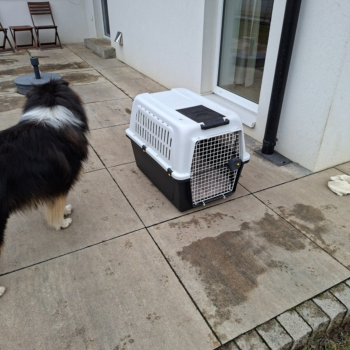 Prepravka pre psa do auta. - 3