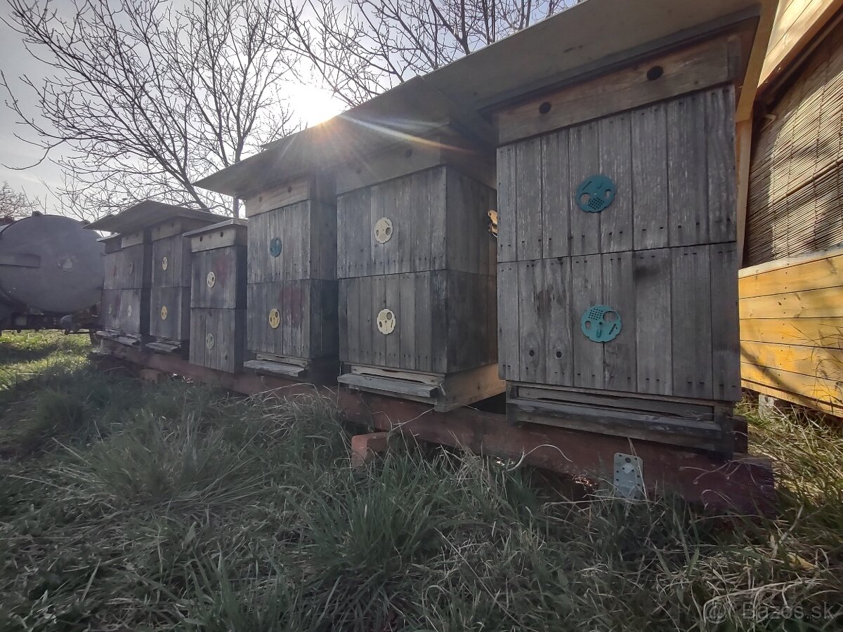 Včelstvá na predaj - 3