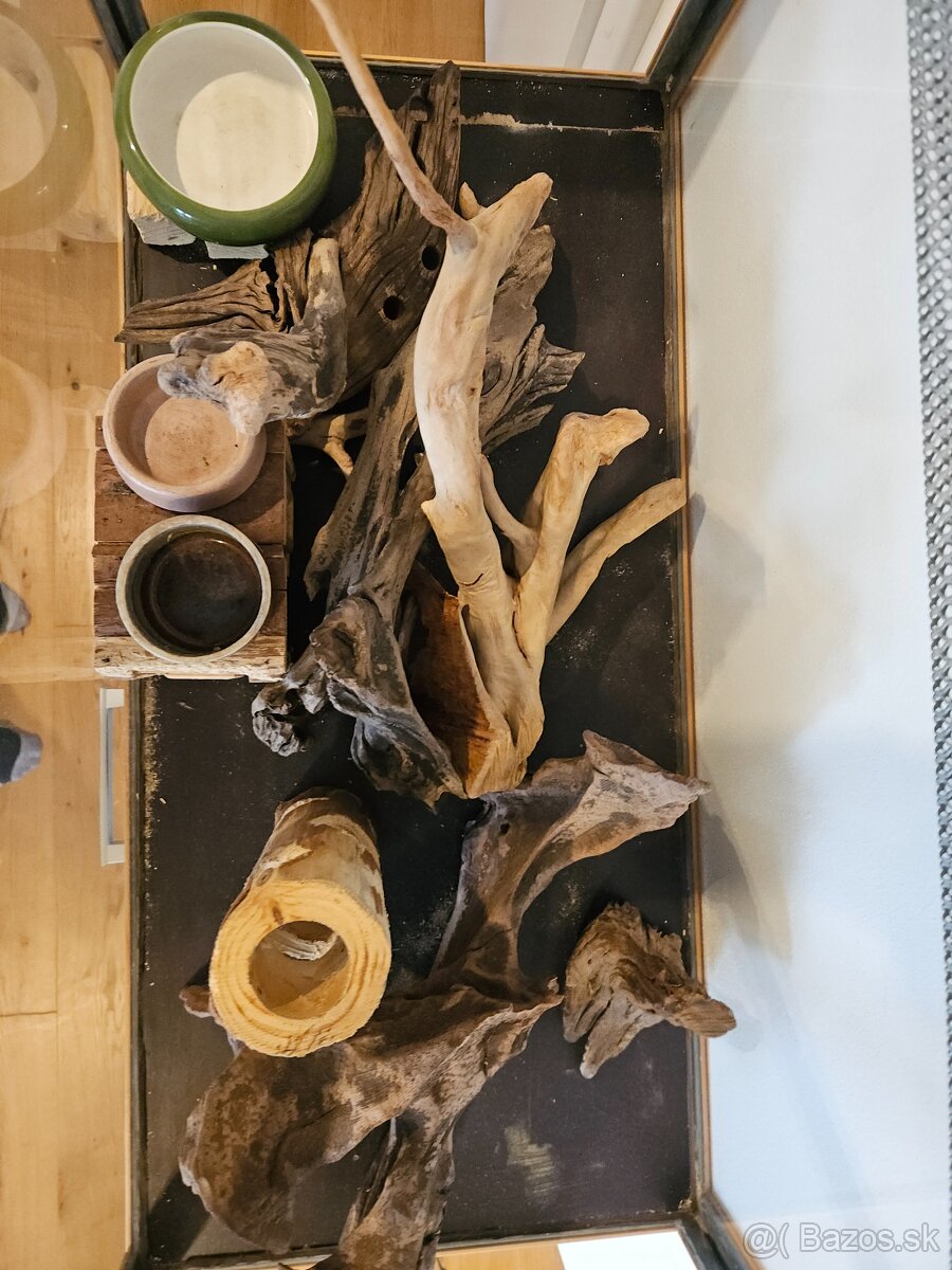 Terarium so skrinkou - 3