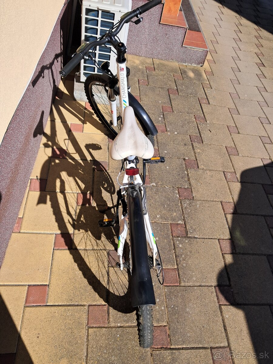 CTM CHARISMA 1.0 - 3