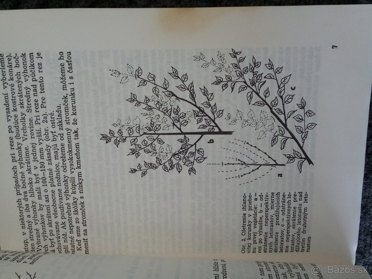 Poradca záhradkára - 3