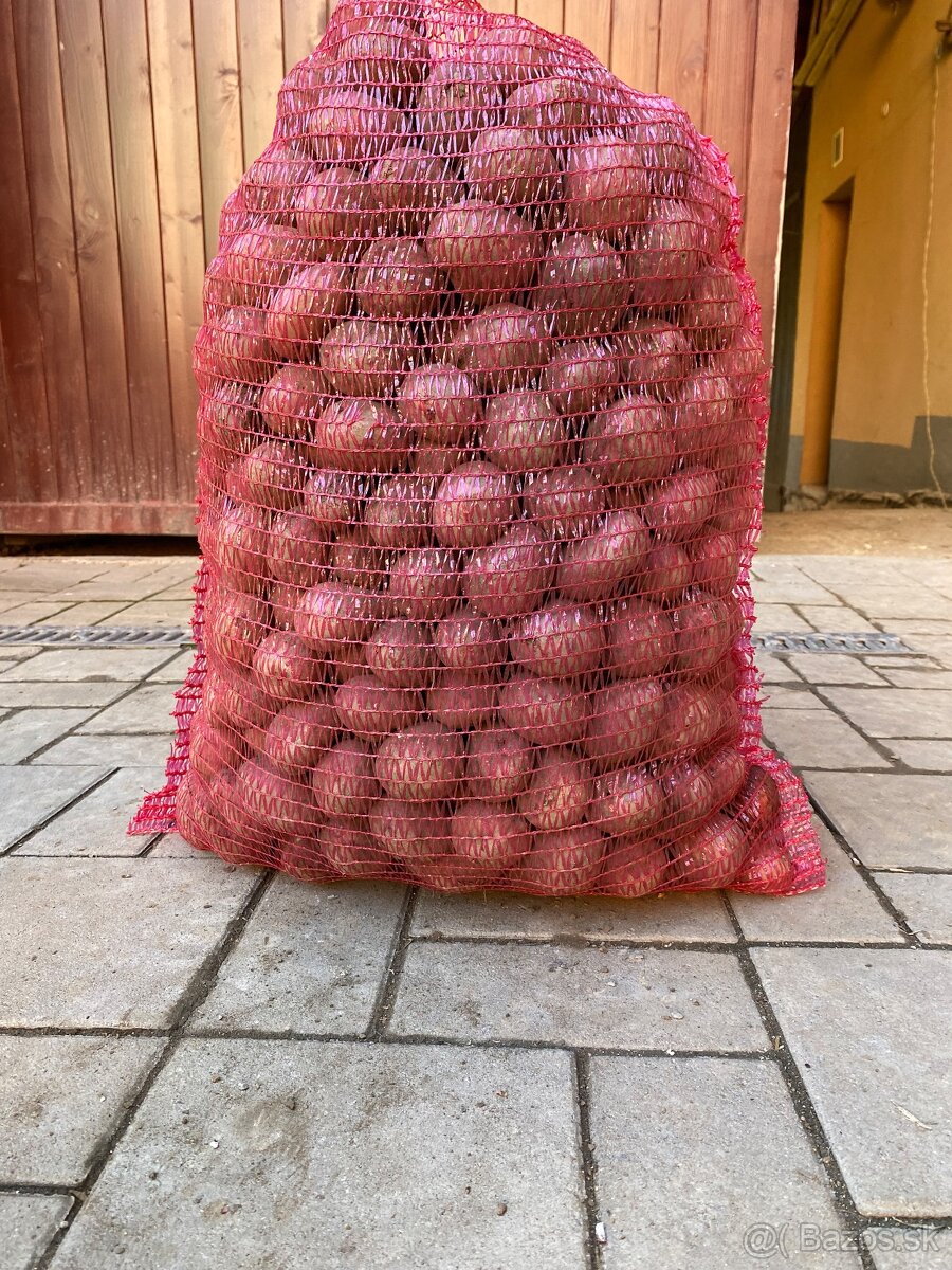 Sadbové zemiaky - 3