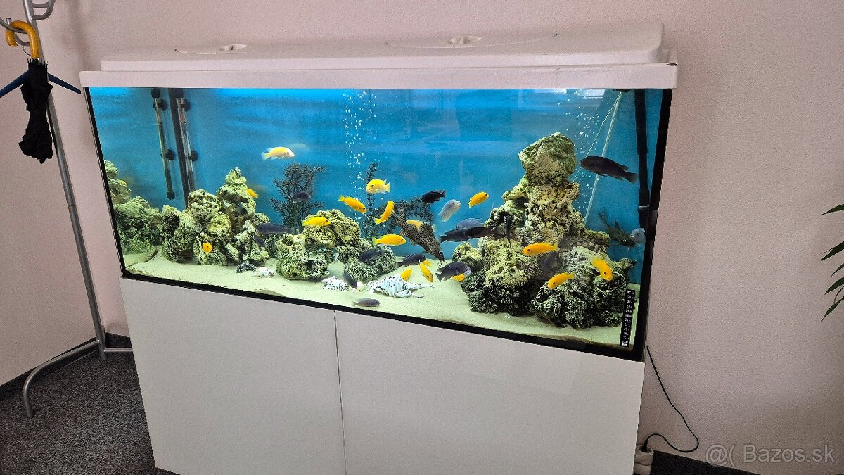 450l akvárium - 3