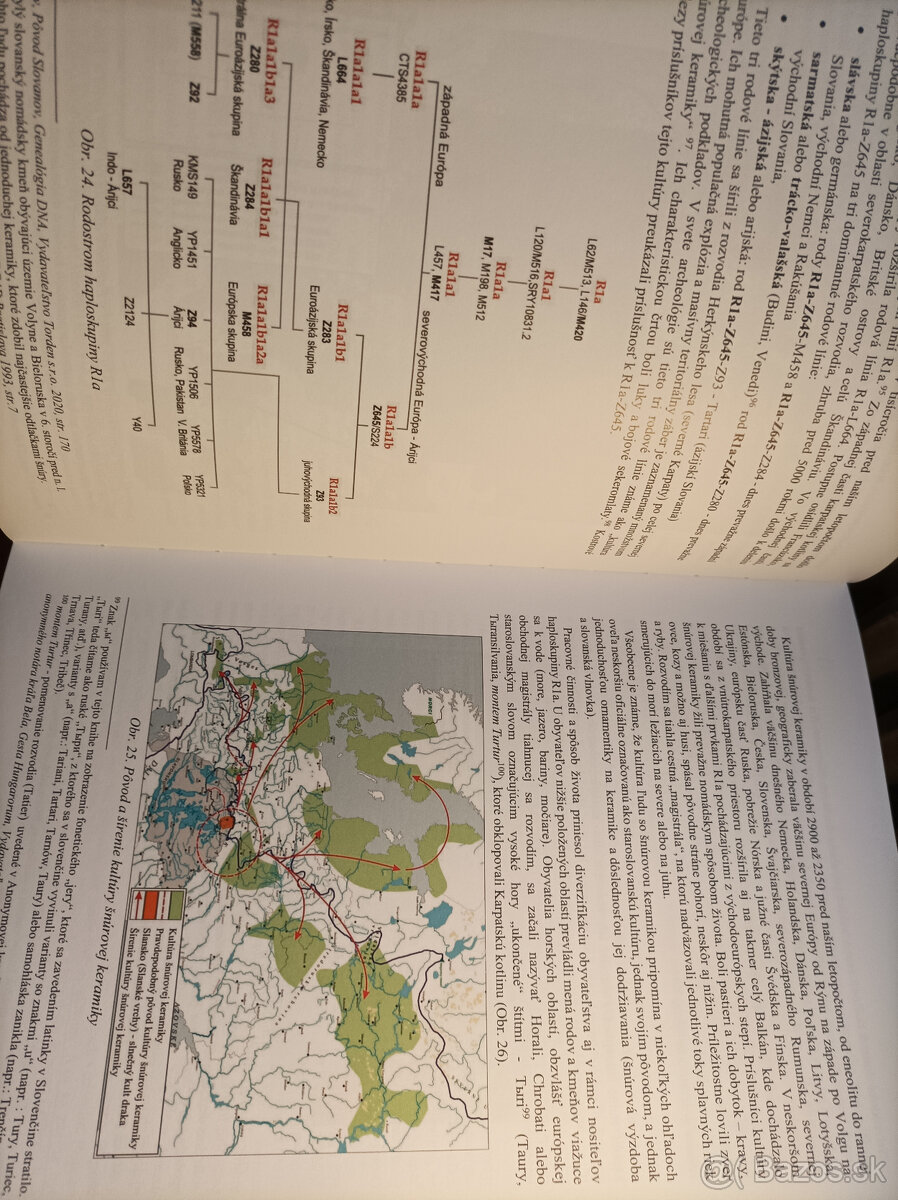 Pravdivé dejiny Slovenov a Slovanov - 3