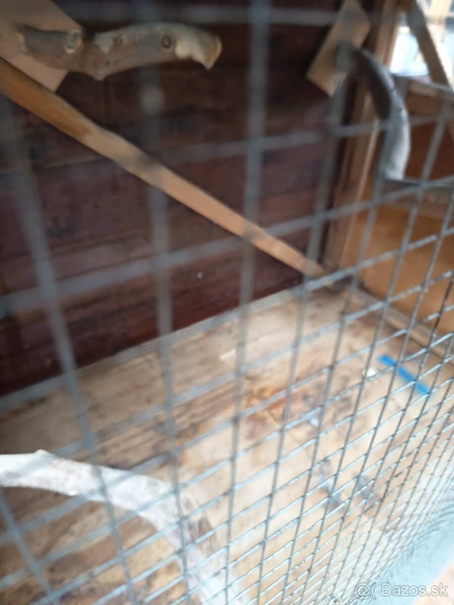 Voliera pre vtáky - 3