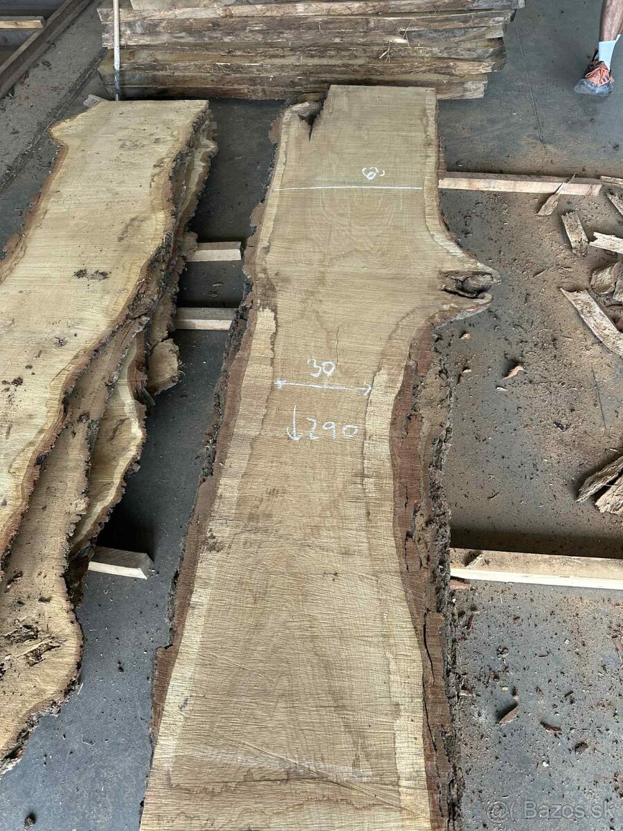 dubové fošne, dub letný, dub - 3