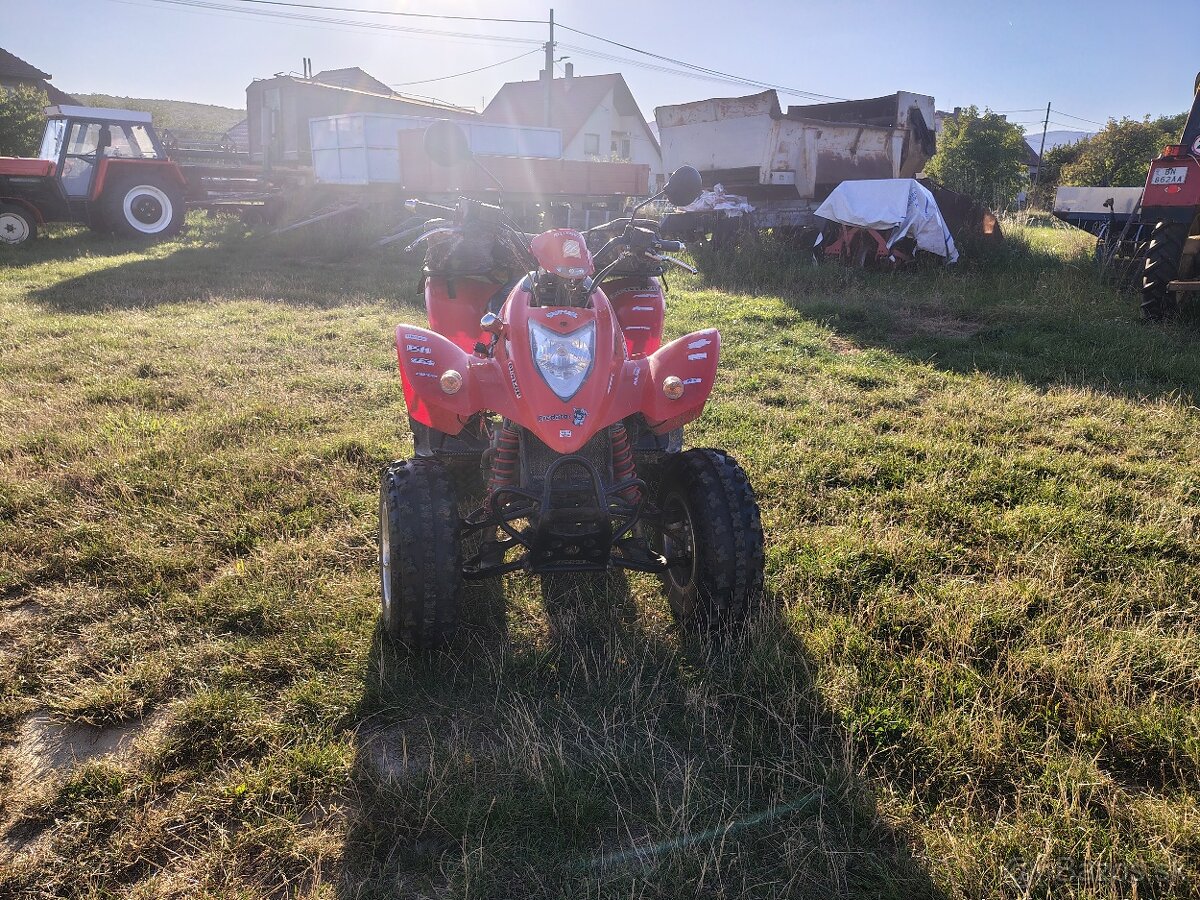 Kymco kxr250