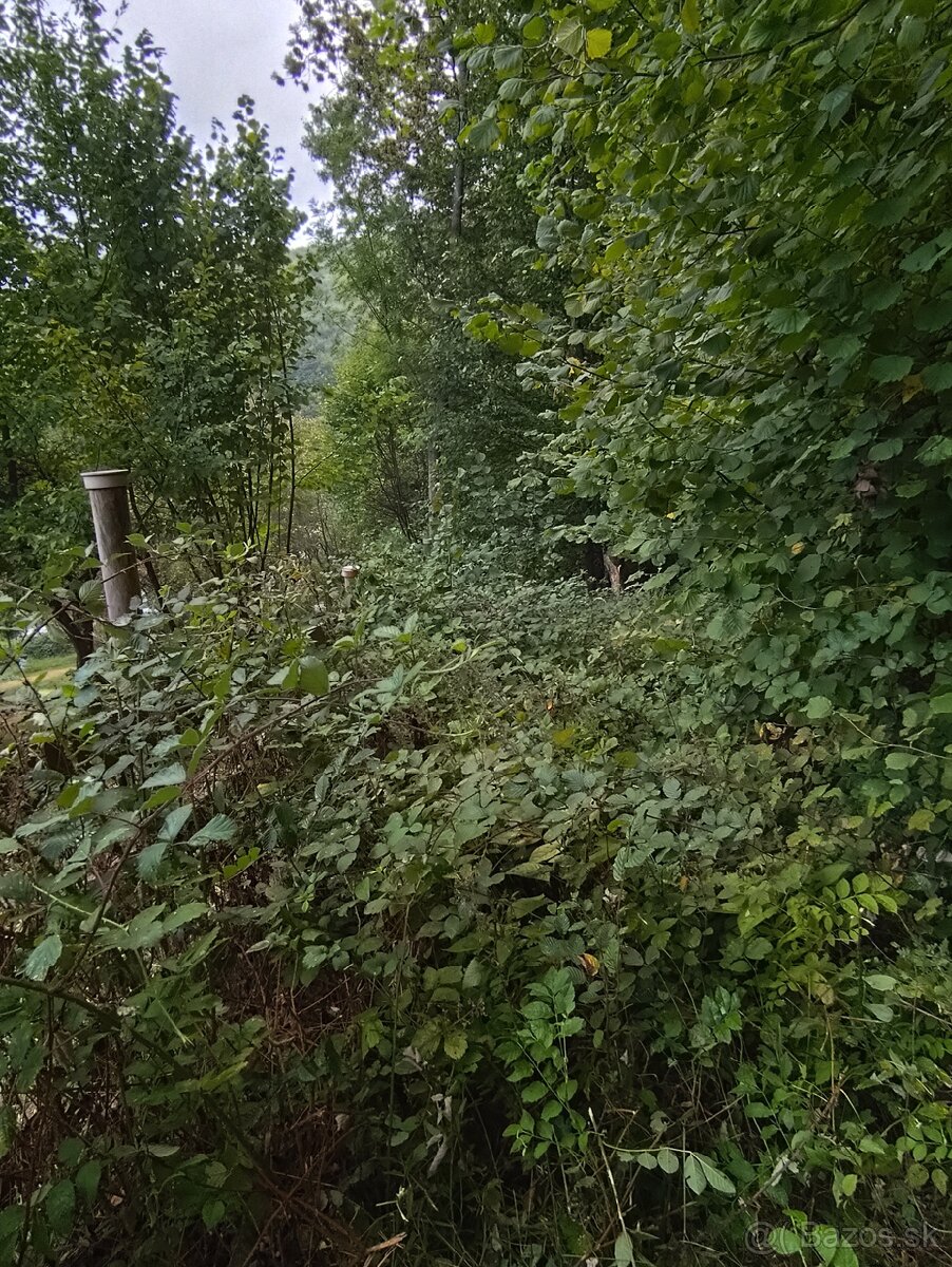 Čistenie a mulčovanie pozemkov, odstraňovanie náletov - 3