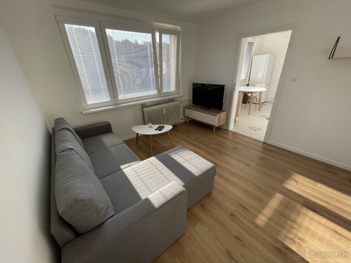 1 izbový byt na prenájom - 3