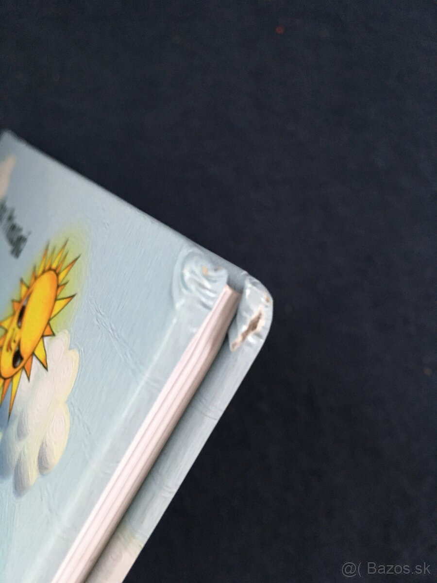 kniha Rok so psíčkom a mačičkou - 3