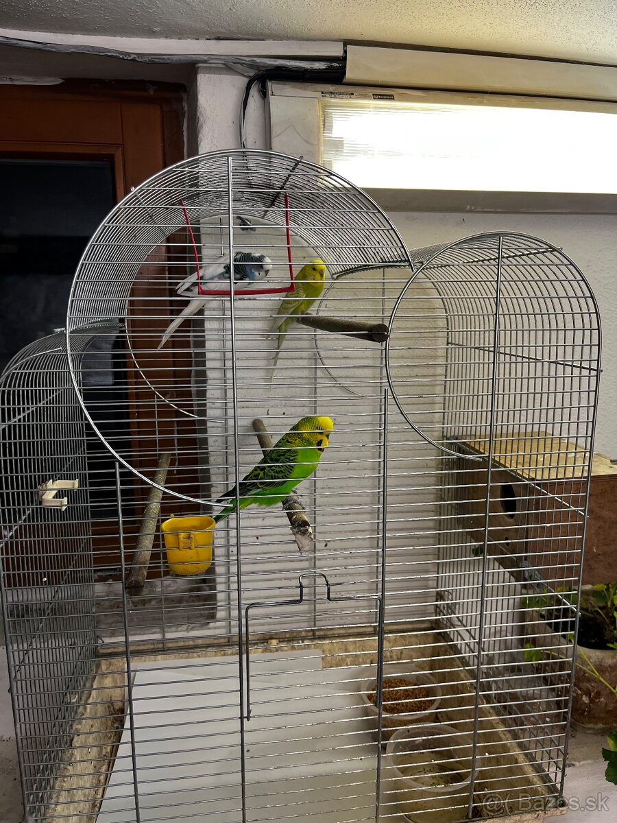 Klietka+andulky - 3