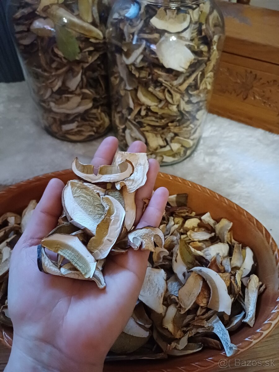 Susene hriby - 3