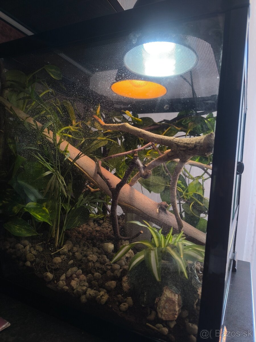 Terarium 46x46x46 - 3