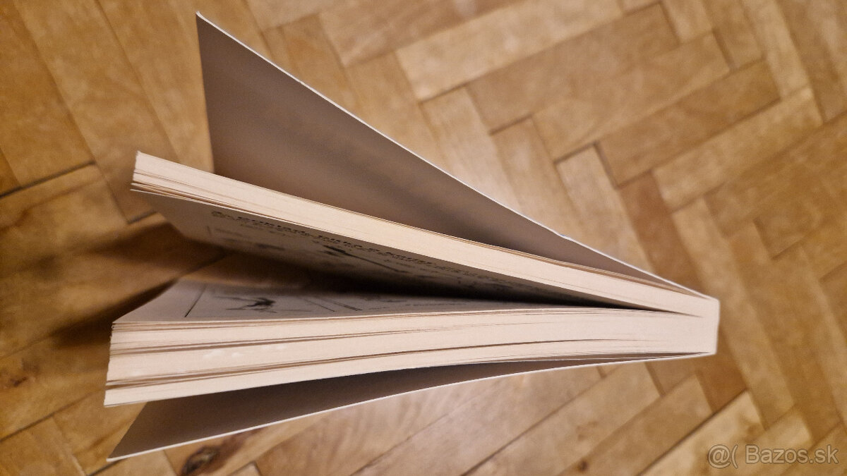 Predám knihu Matematika v komikse - Larry Gonick - 3