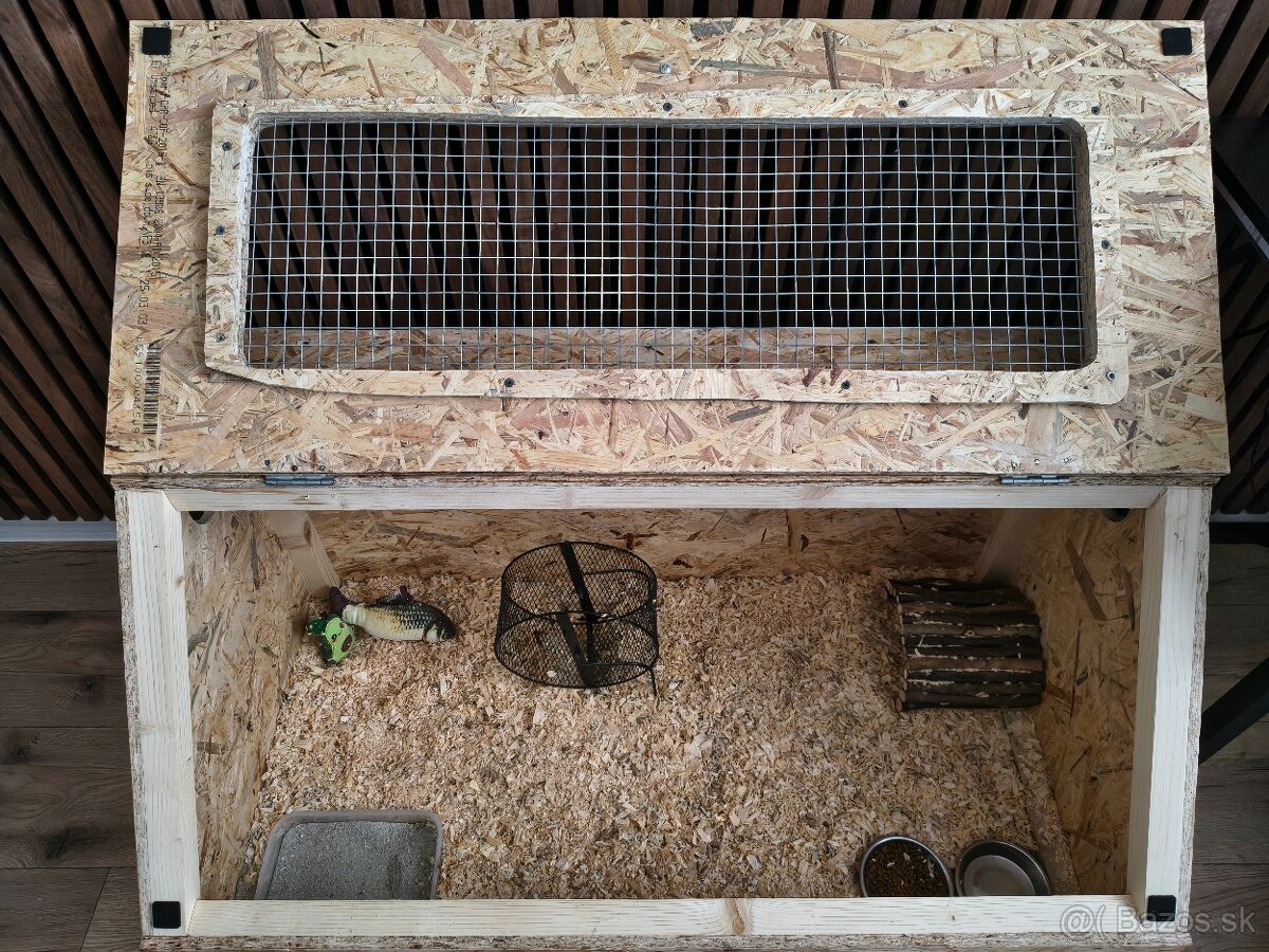 Ježko bielobruchý - 3