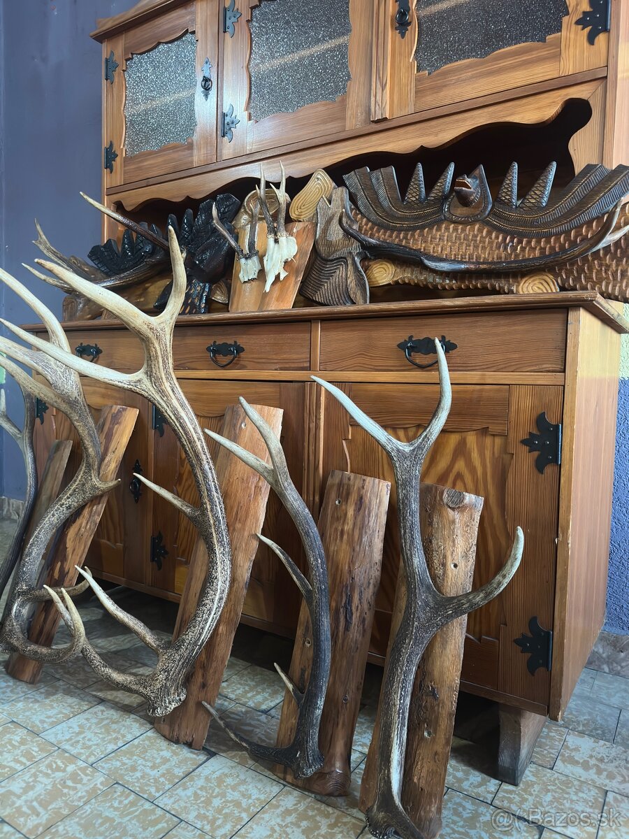 Jelenie parožie a trofeje - 3