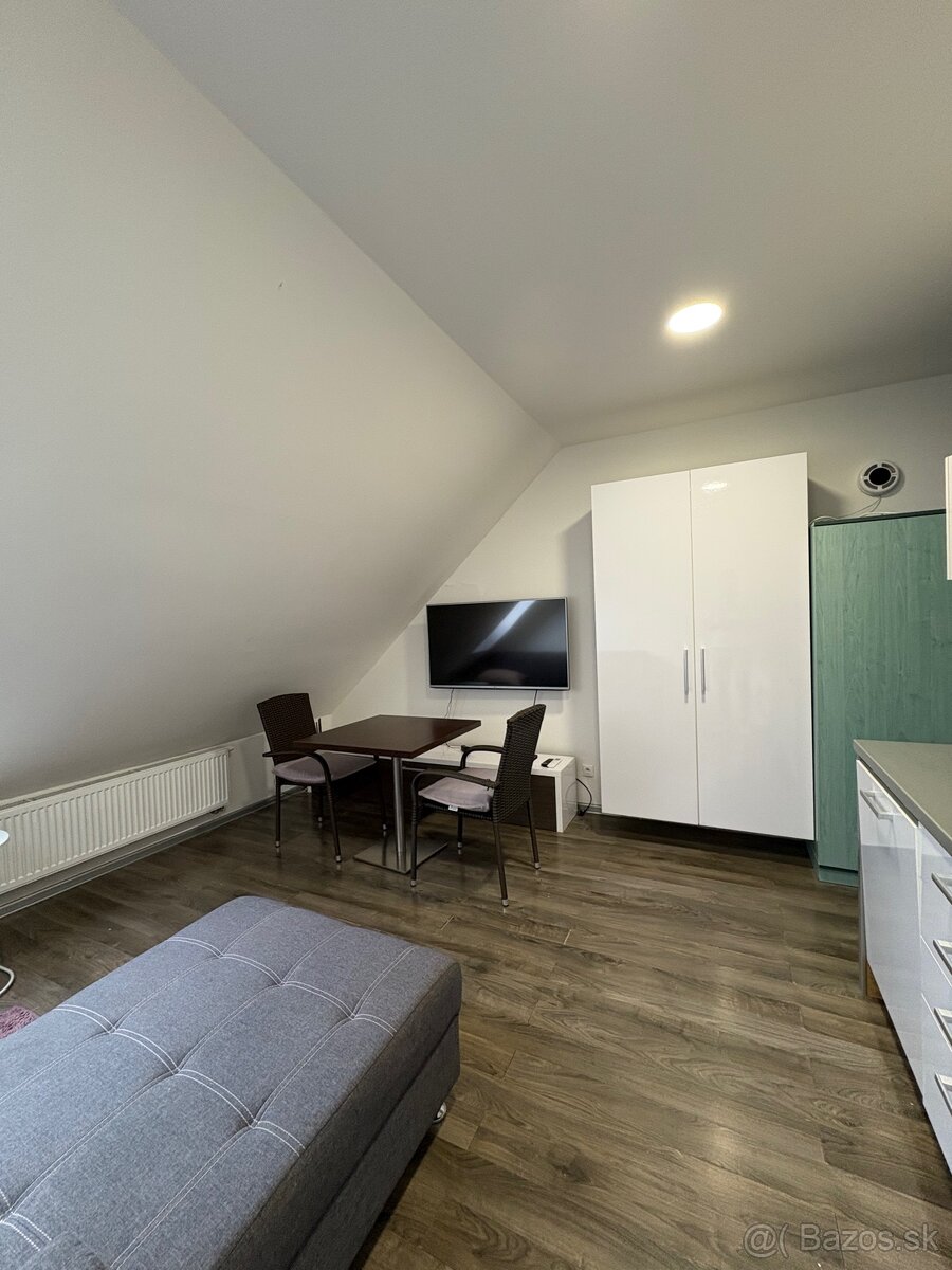 PRENÁJOM / GARSÓNKA / CENTRUM MESTA HALENARSKA - 3