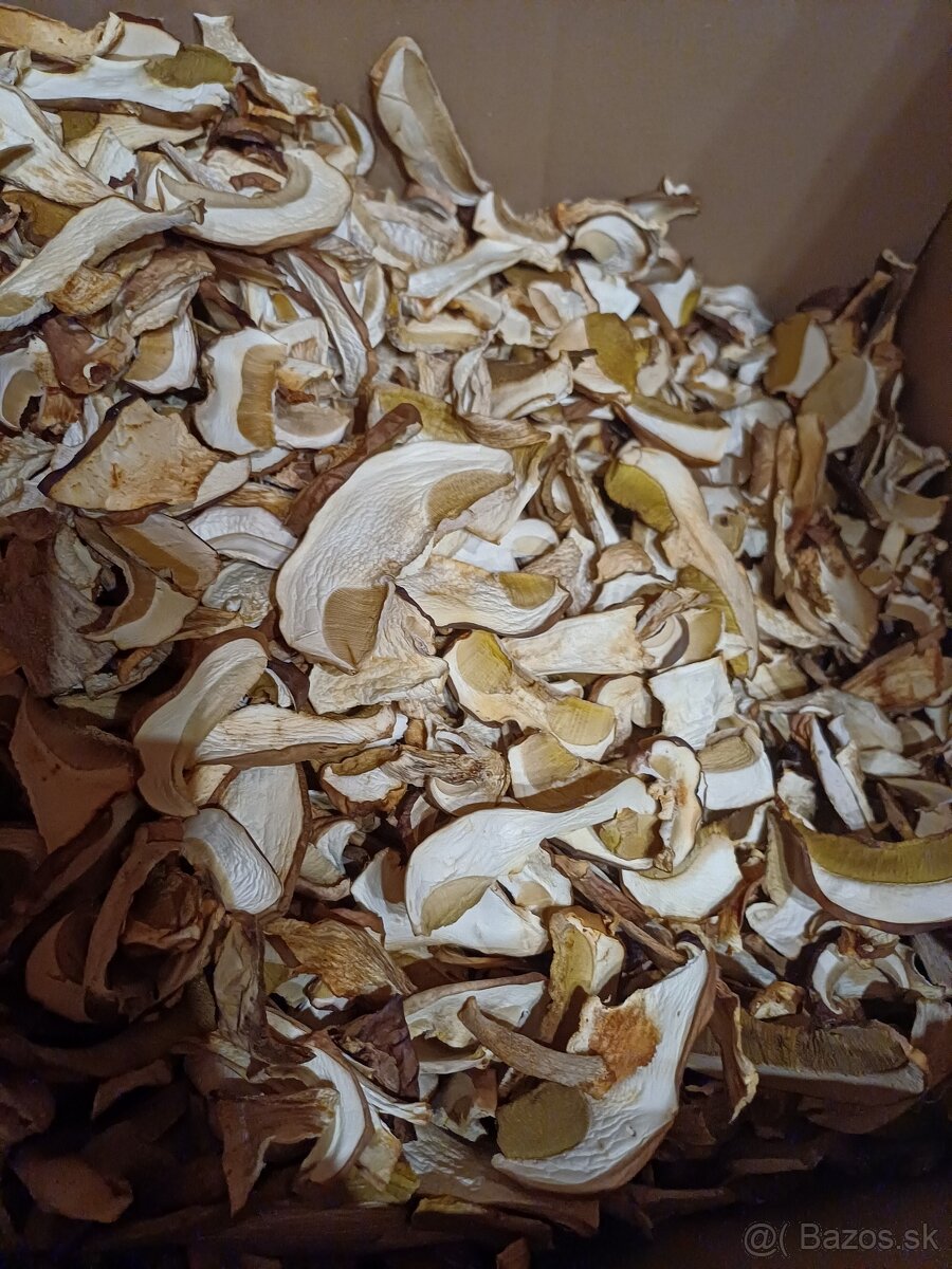 Susene hriby - 3