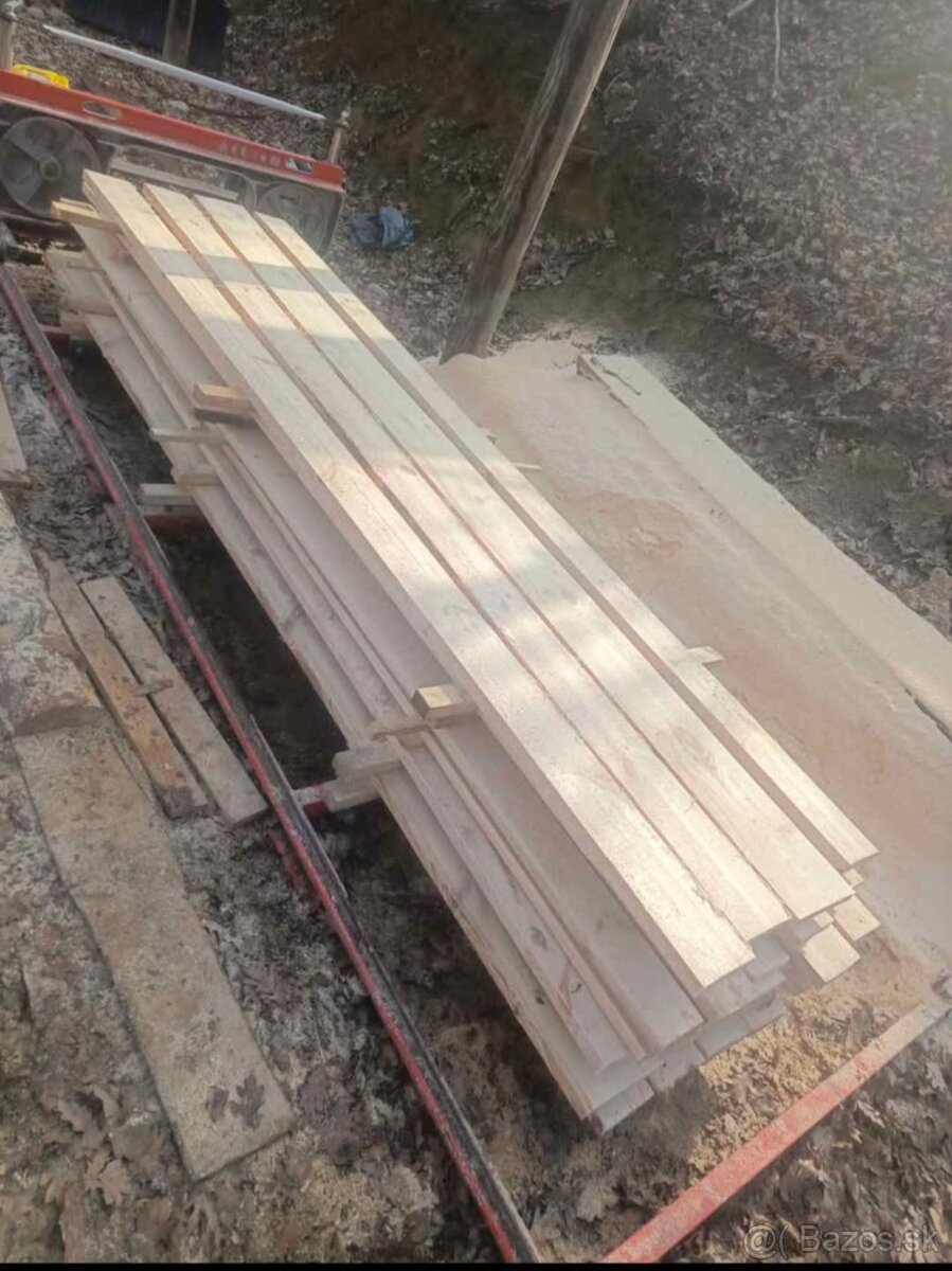 Kmeňová pásová píla - 3