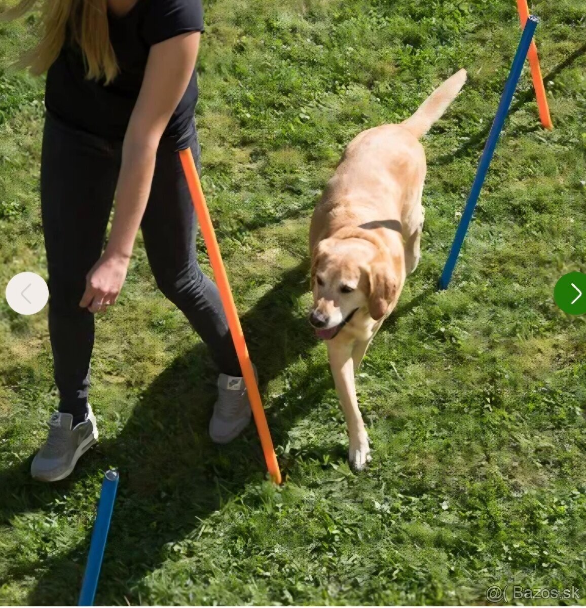 Agility prekážky - 3
