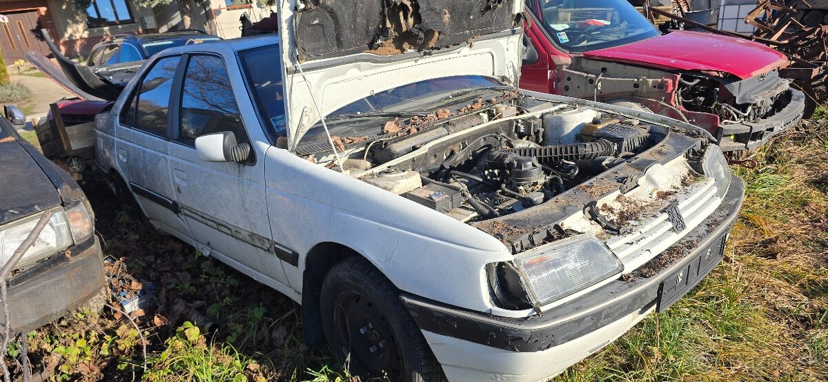 Peugeot 405 4x4 1.9 B - 3