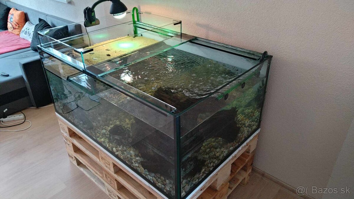 PREDAM VELKE AKVARIUM PRE VODNU KORYTNACKU - 3