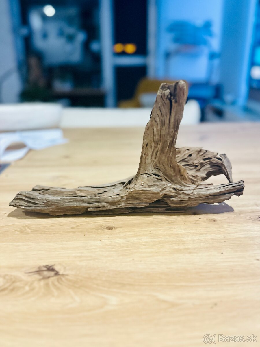 Koren do akvaria - 3