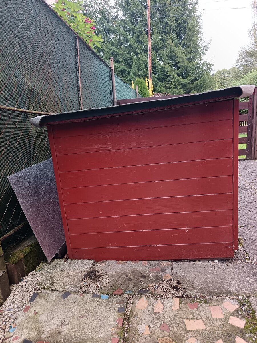 Psia búda - 3