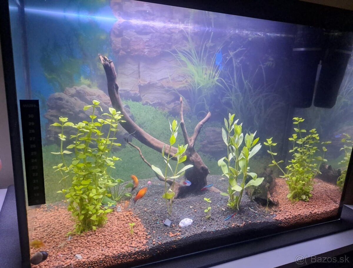 Akvárium 72l - 3