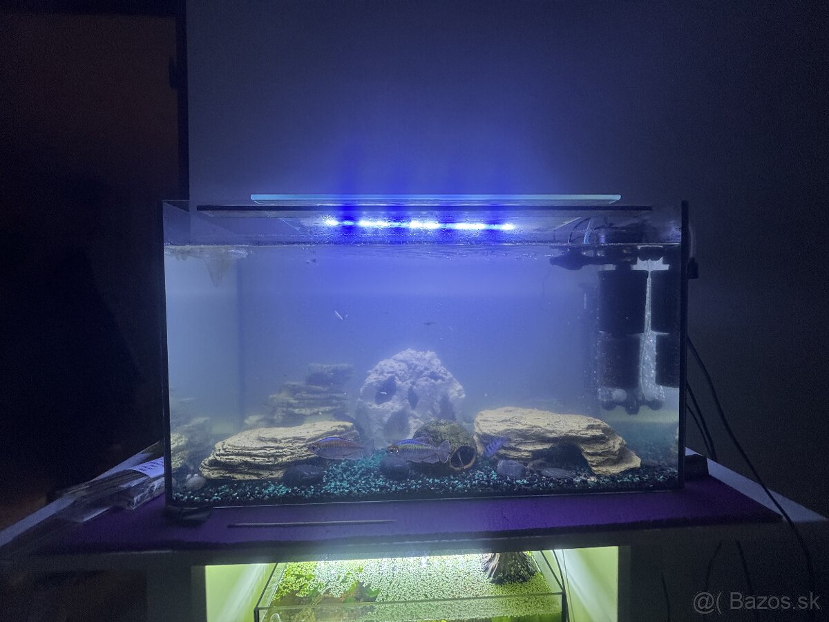 Predám akvaria - 3