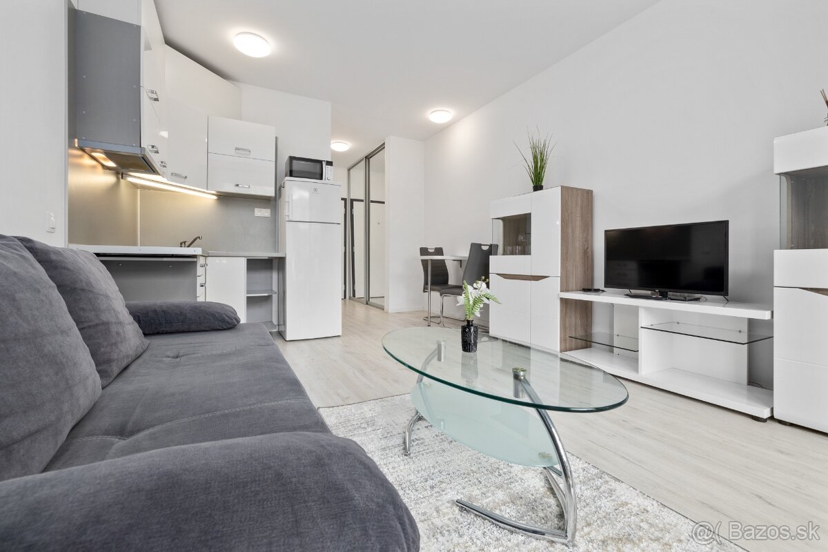 Na prenájom 1-izbový byt v Slnečniciach – Bratislav - 3