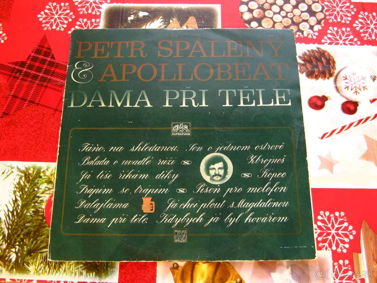 Predám platne českých a slovenských interprétov - 3