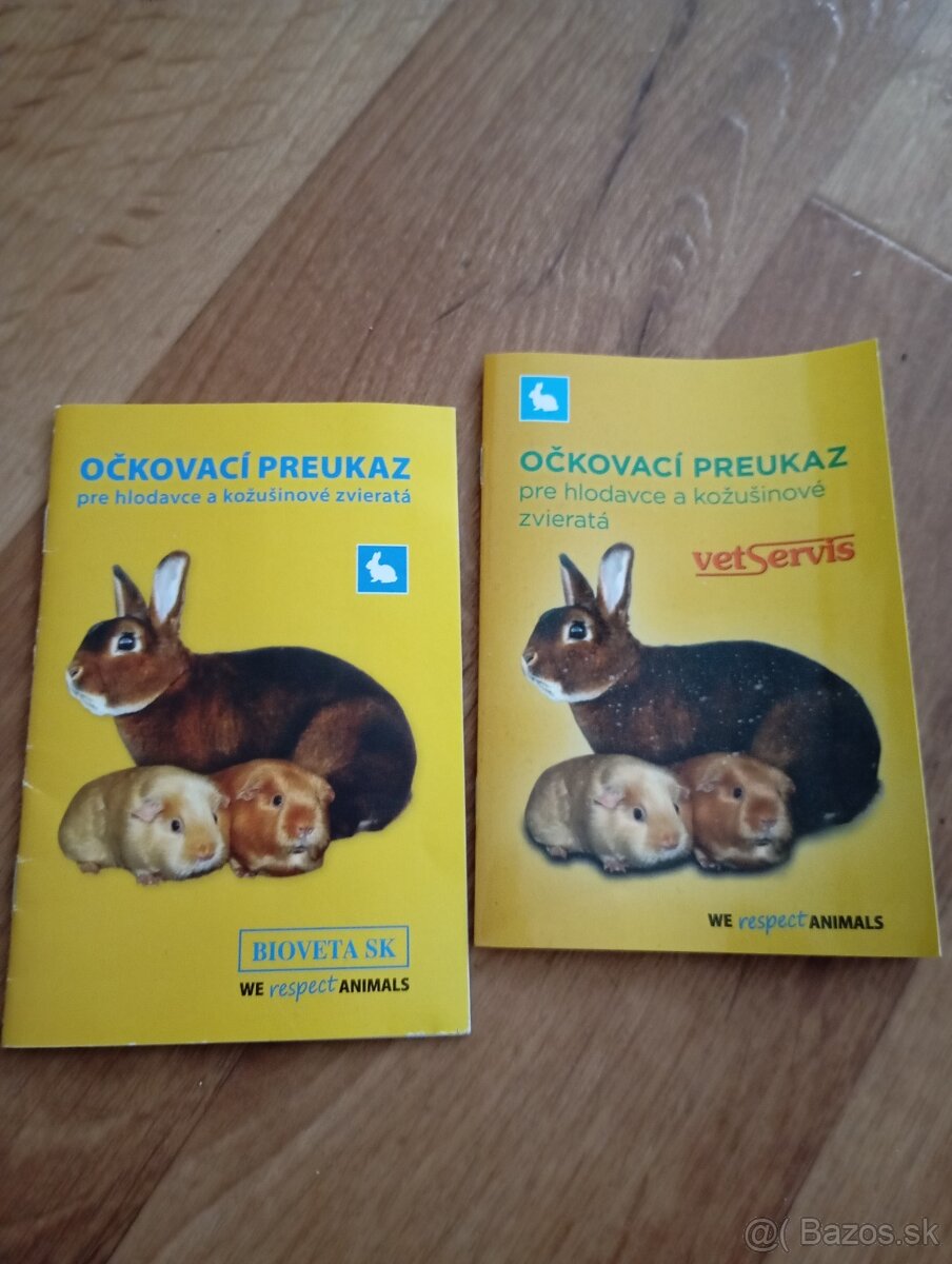 Zakrslé králiky na predaj - 3