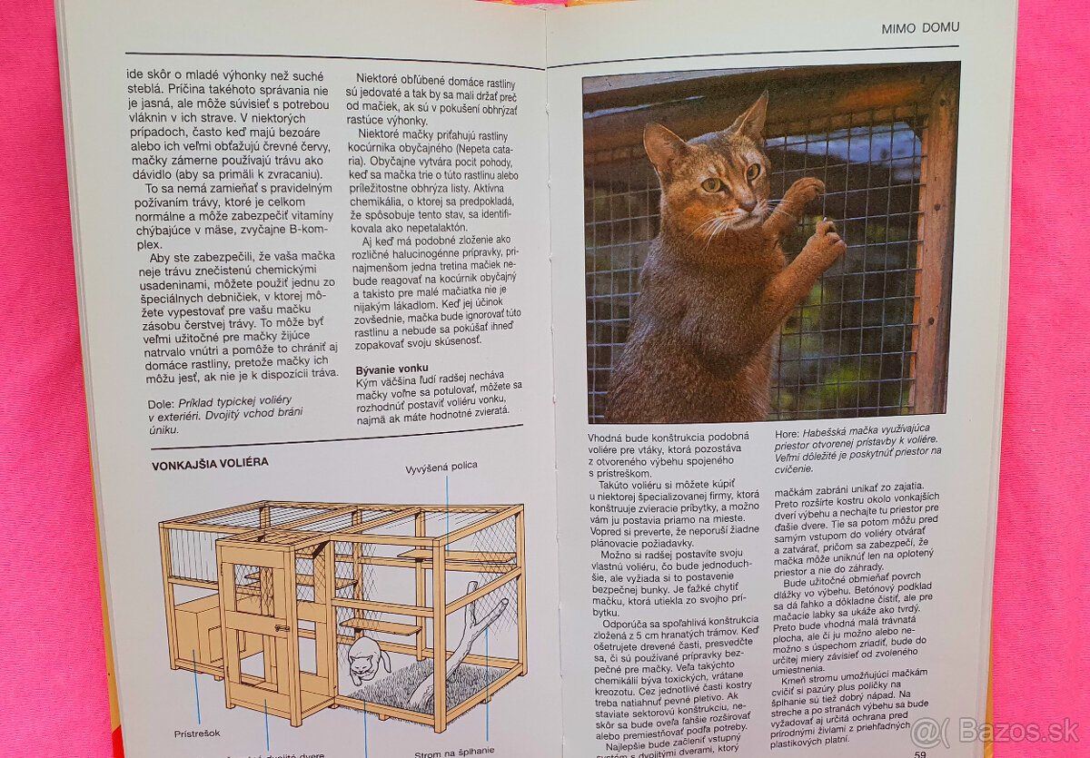 Vaša mačka a mačiatko. - 3