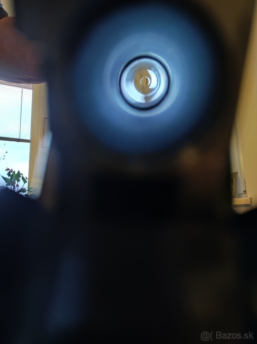 Guľobroková kozlica - 3