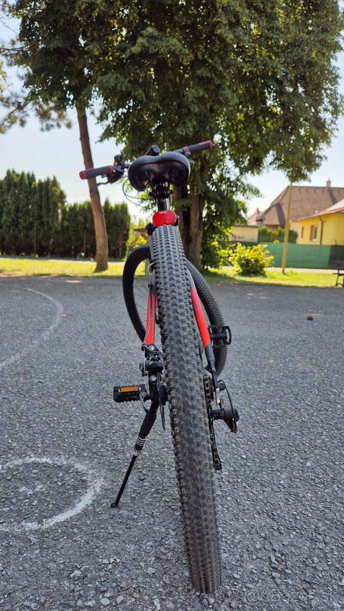 Dámsky horský bike Mayo XC 29" Basic D - 3