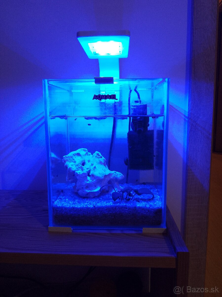 Predám 10L akvárium (shrimp set) - 3