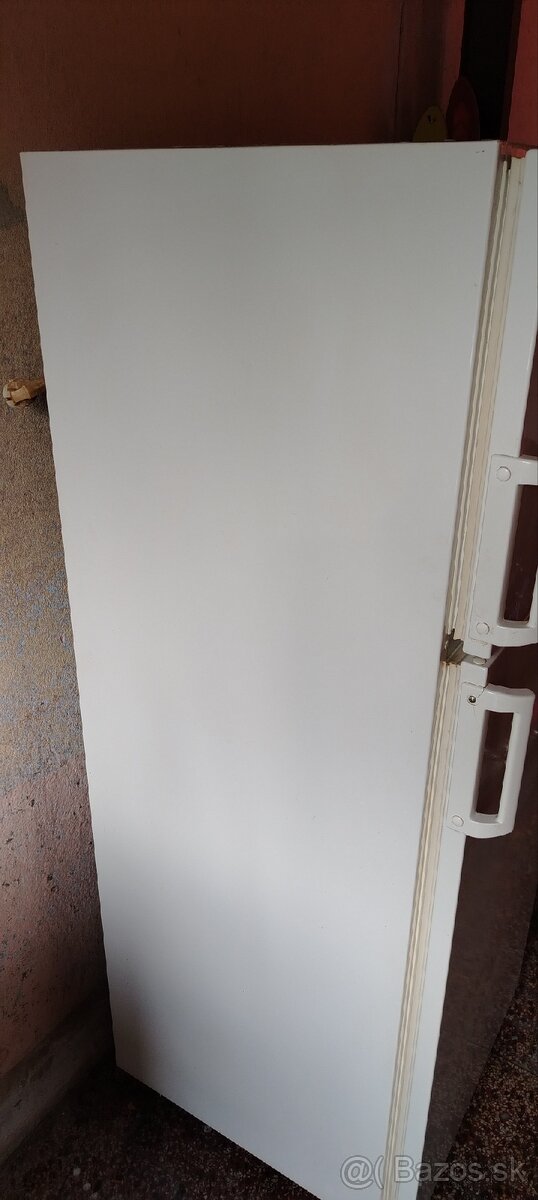 chladnicka s mrazakom - 3