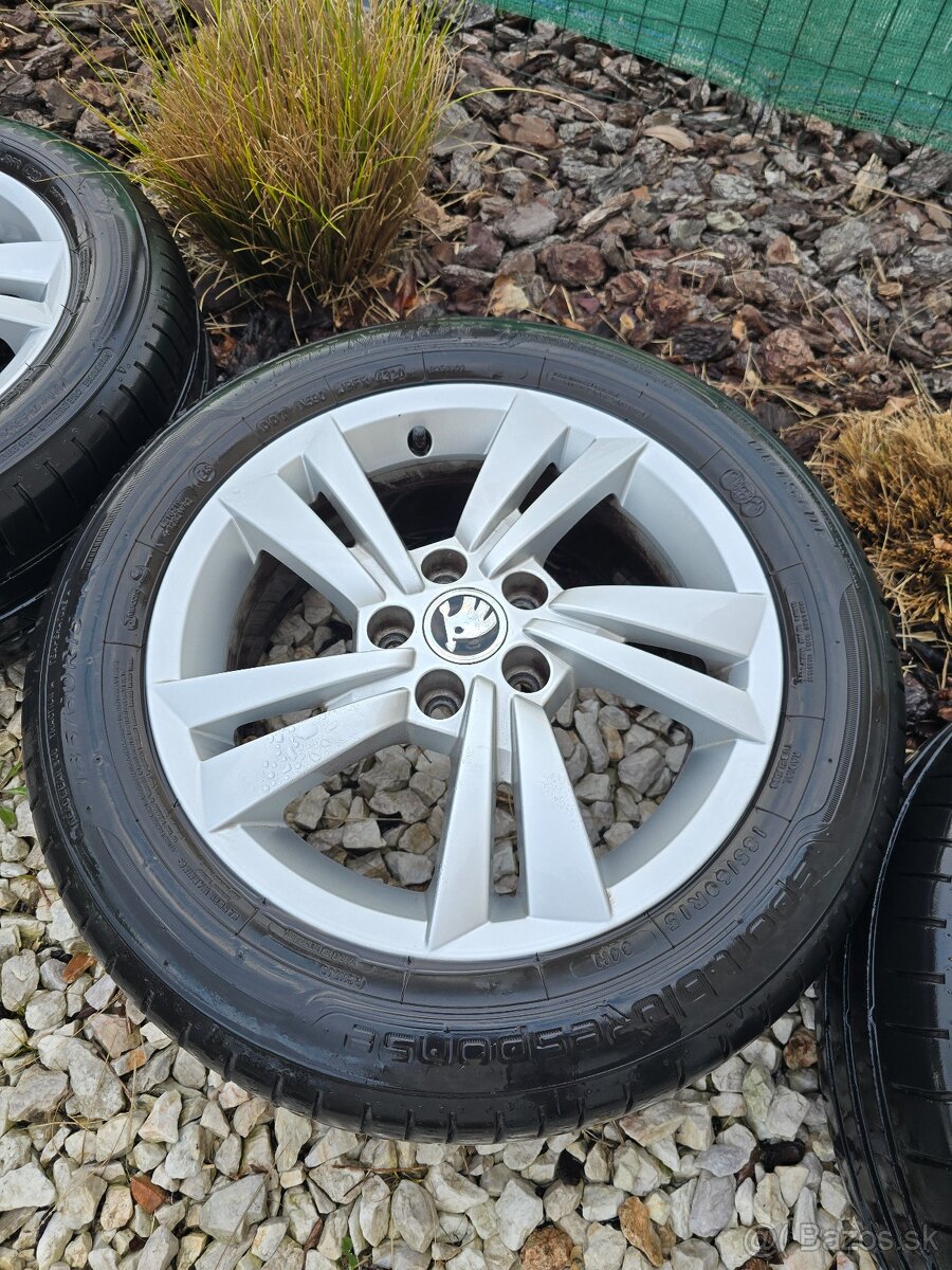 Skoda cygnus r15 letne - 3