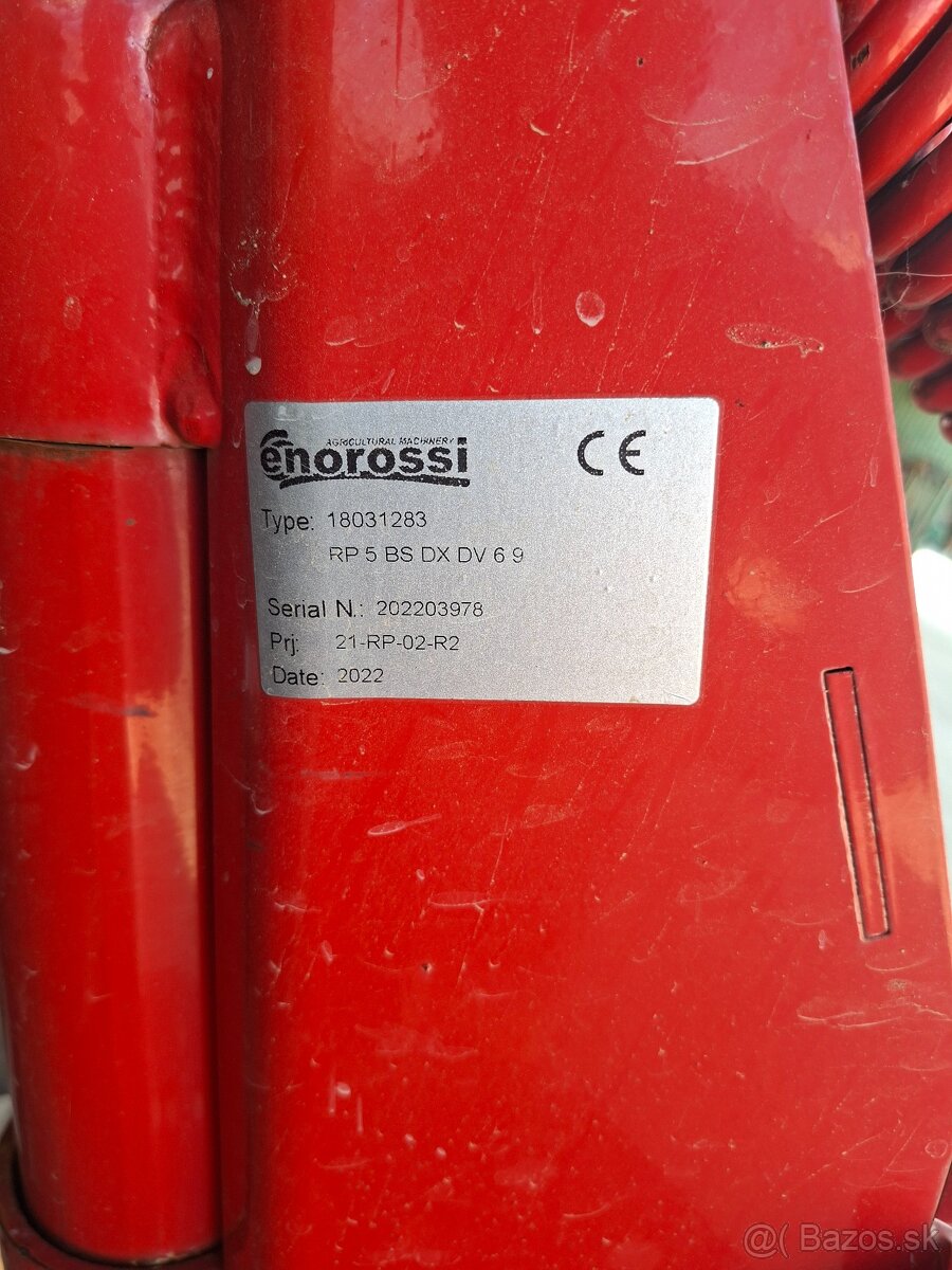 Hrabacka Enorossi - 3
