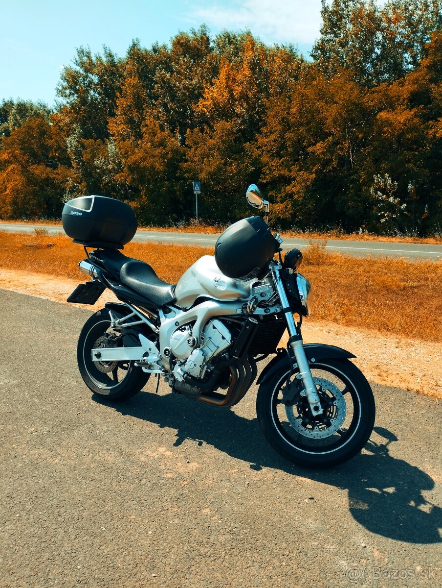 Yamaha FZ6 (2005) - 3