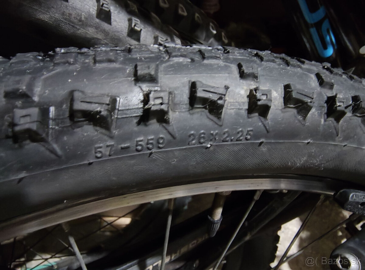 Plast Schwalbe Rapid Rob 26 x 2,25" - 3