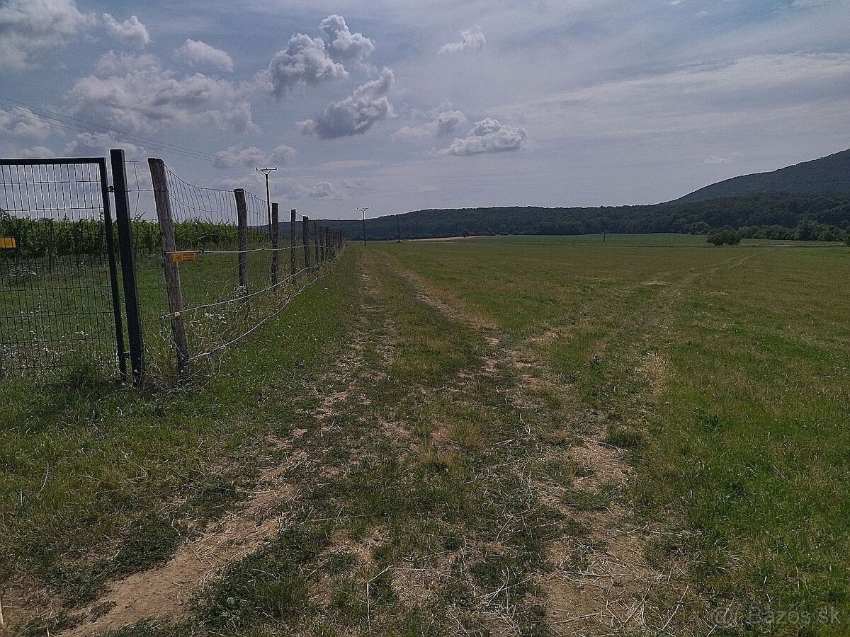 Na predaj budúci stavebný pozemok, pri Trnave, Lošonec - 3