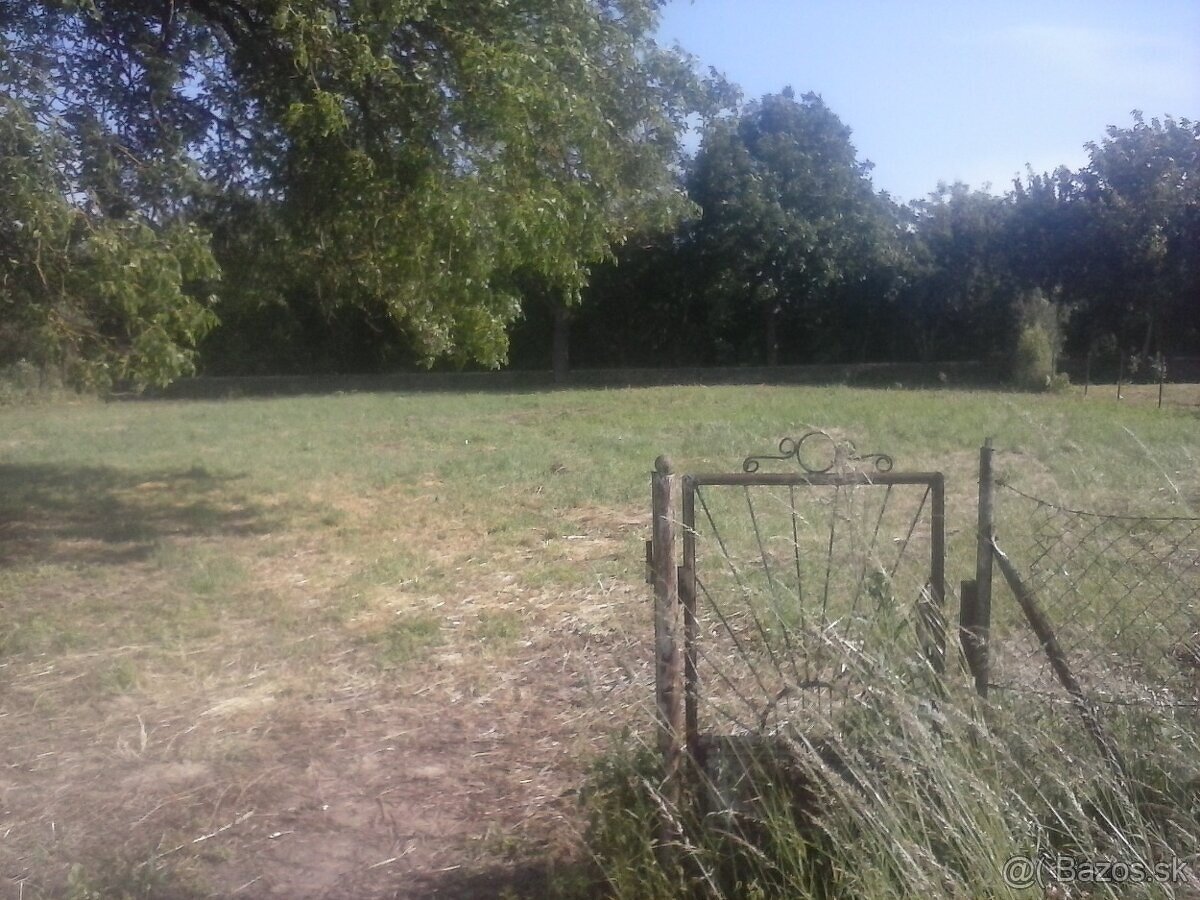 stavebný pozemok Lekárovce 2000 m2 - 3