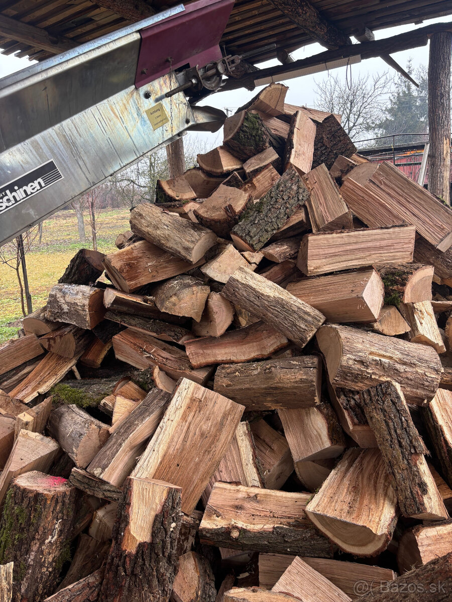 Palivove drevo - 3