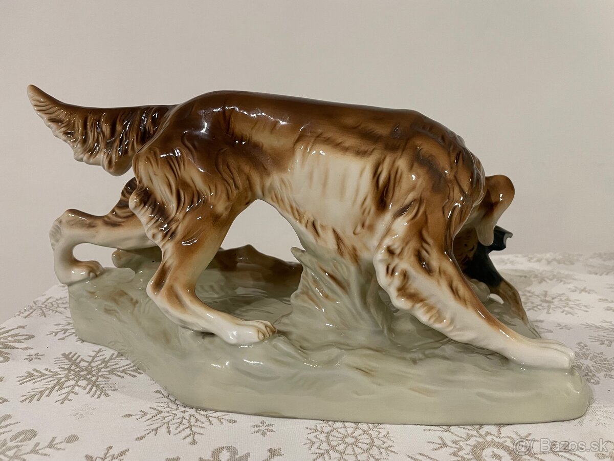 Royal dux - poľovnícky pes - 3