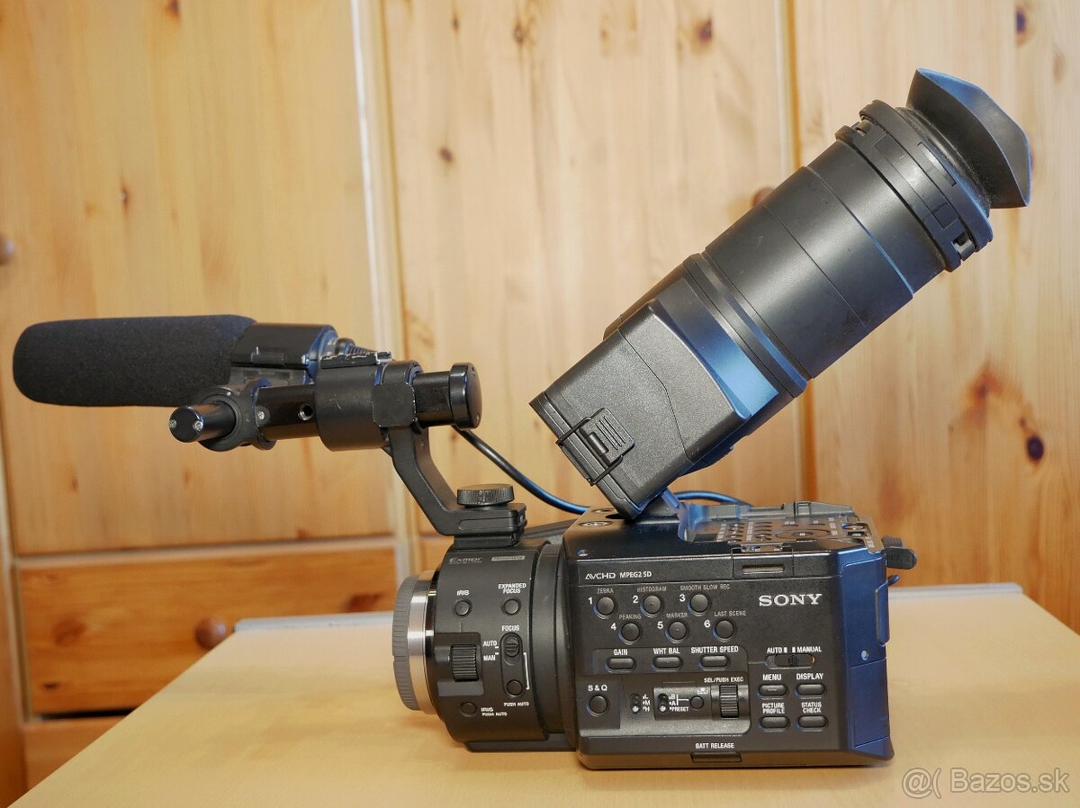 Sony NEX FS-100 - 3