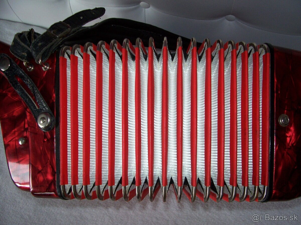 Predam akordeon Delicia Junior 60bas. - 3