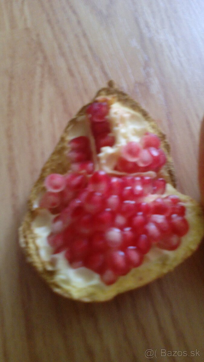 Predám granátové jablko - 3