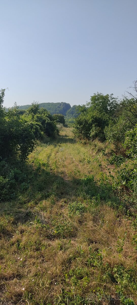 Veľký Pesek - Sikenica - 3